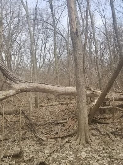Inkster Park - Inkster,