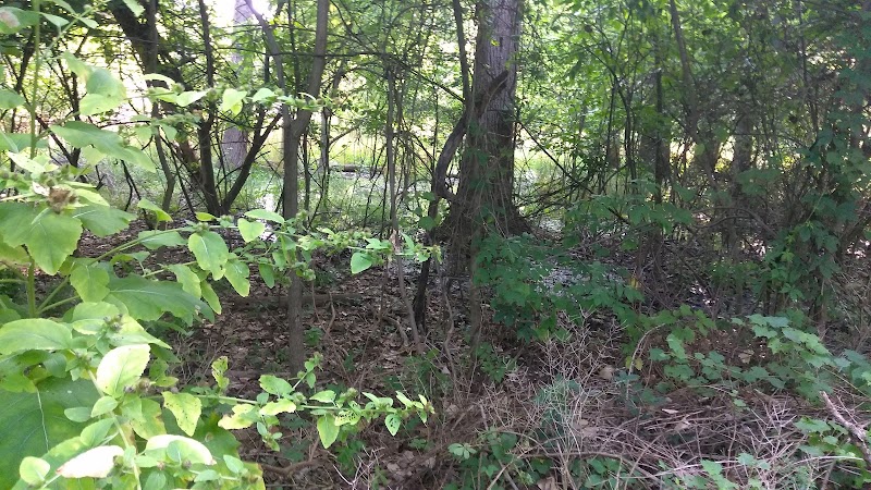 Lower Rouge Valley - Inkster,