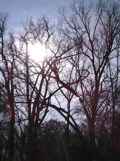Lower Rouge Valley - Inkster,