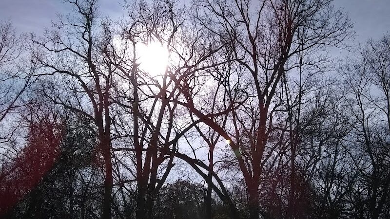 Lower Rouge Valley - Inkster,