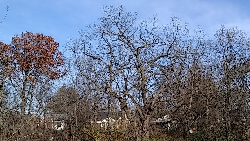 Lower Rouge Valley - Inkster,