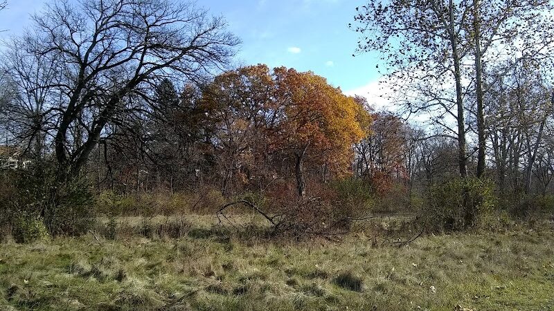 Lower Rouge Valley - Inkster,