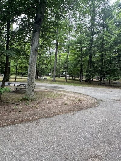 Interlochen State Park - Interlochen,