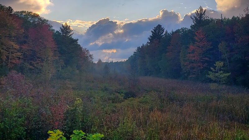 Lost Lake Trailhead - Interlochen,