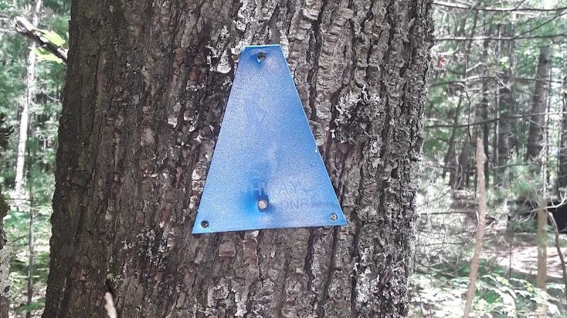 Lost Lake Trailhead - Interlochen,