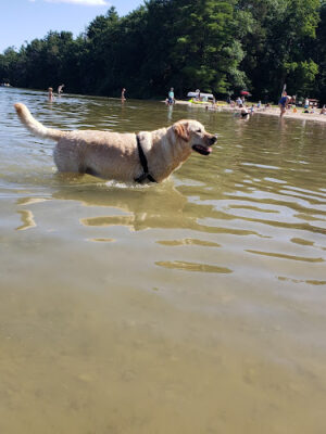 Interlochen State Park