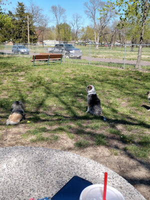 Happy Tails Dog Park