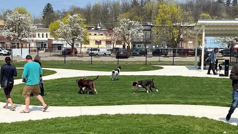 Ionia County dog park - Ionia,