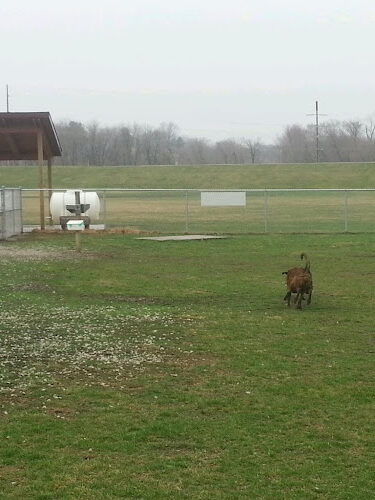Rita's Ranch Dog Park