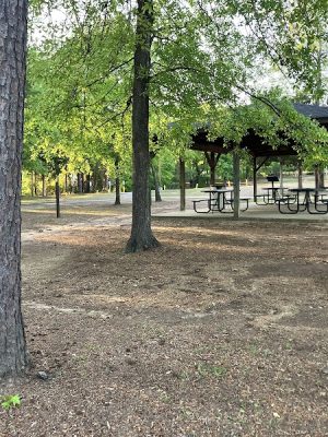 Friarsgate Park