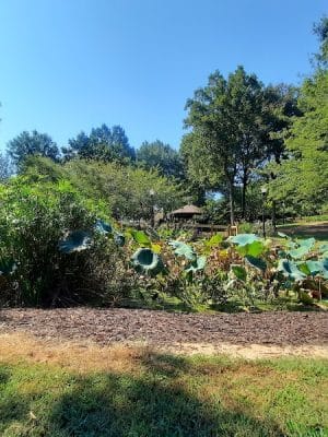 Irmo Town Park
