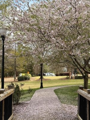 Irmo Town Park