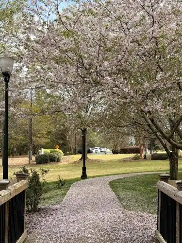 Irmo Town Park