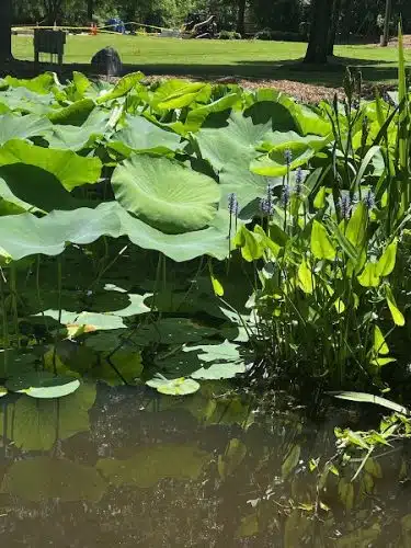 Irmo Town Park