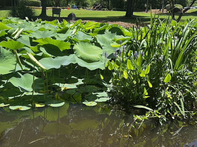 Irmo Town Park - Irmo, SC