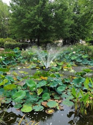 Irmo Town Park