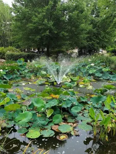 Irmo Town Park