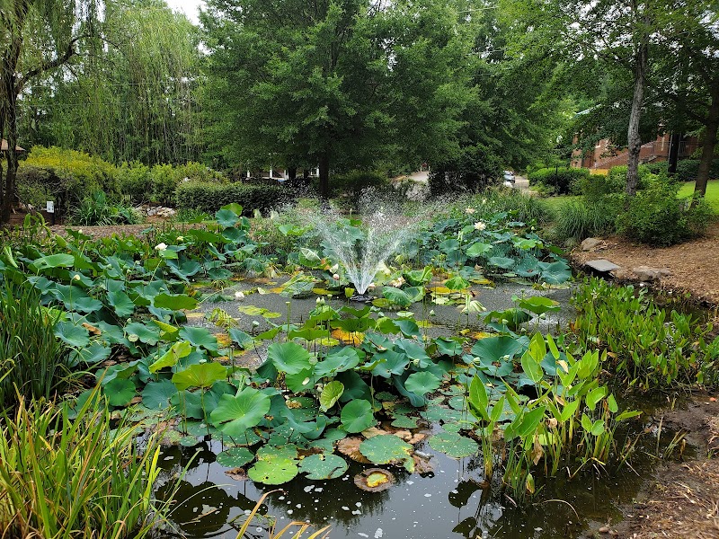 Irmo Town Park - Irmo, SC