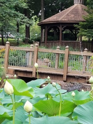 Irmo Town Park