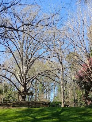 Irmo Town Park