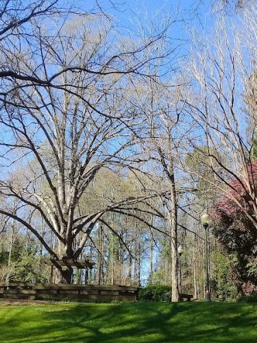 Irmo Town Park