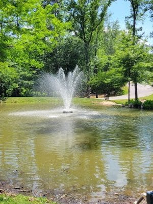 Moore Park