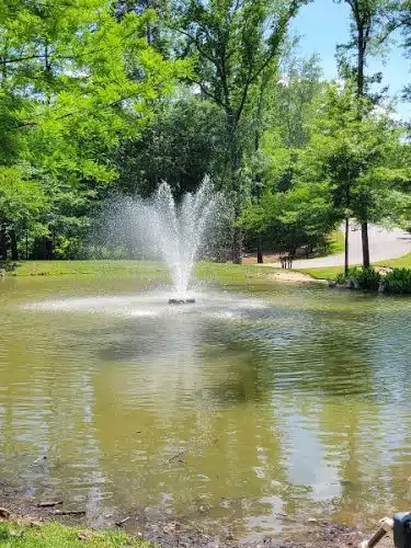 Moore Park