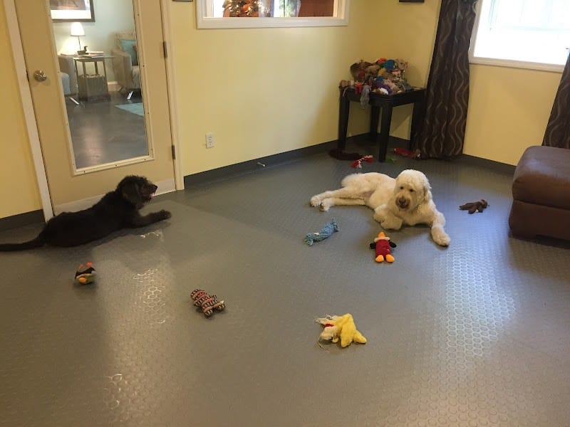 The Woods Canine Resort and Spa - Irmo, SC