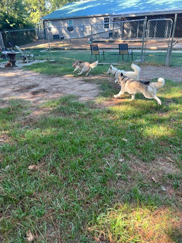 The Woods Canine Resort and Spa