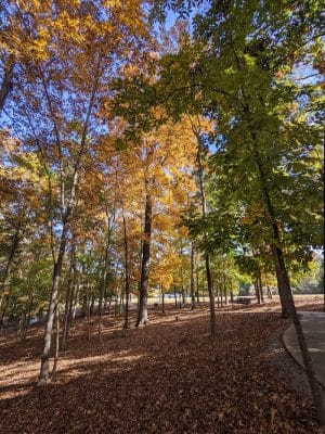 Veterans Park