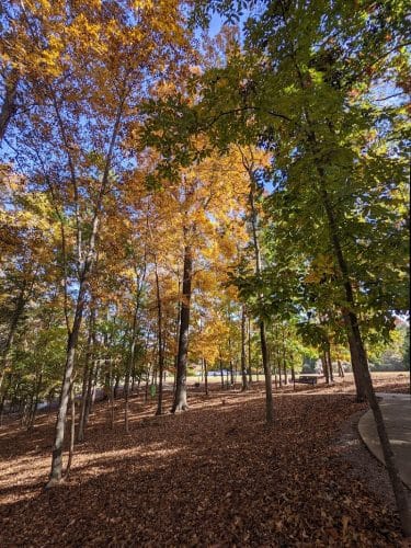 Veterans Park