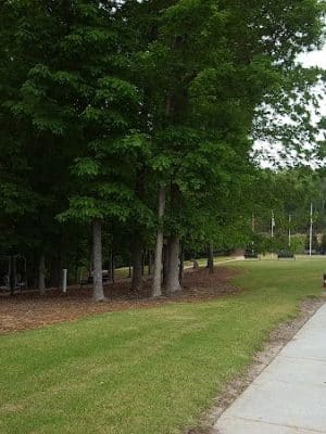 Veterans Park