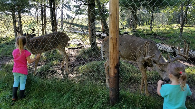 Iron Mountain City Park - Iron Mountain, MI