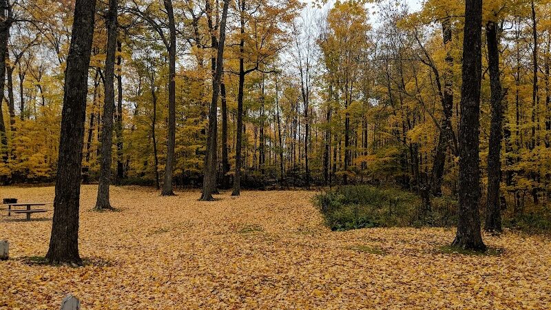 Larson Roadside Park - Iron River,