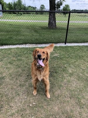 Isanti Dog Park