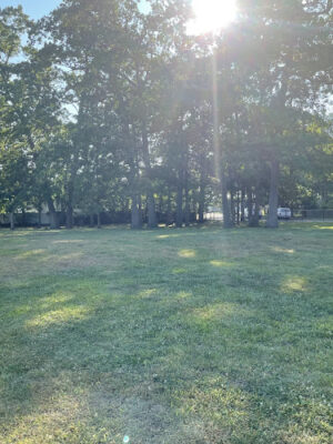 Beaver Dam Park