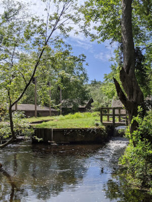 Connetquot Hatchery