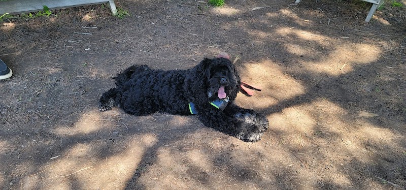 Ithaca Dog Park - Ithaca,