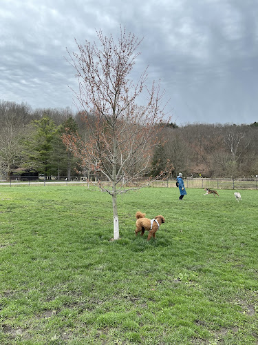 Ithaca Dog Park - Ithaca,
