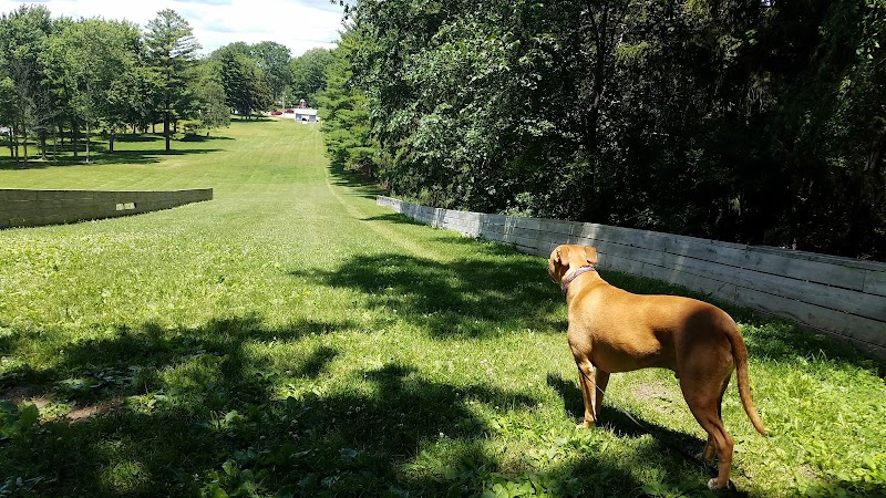 Woodland Park - Ithaca,