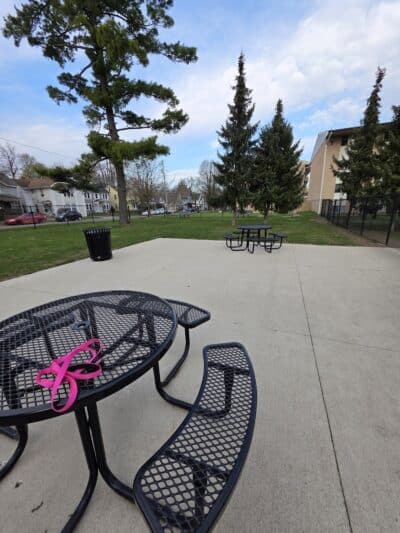 Betty’s Dog Park - Jackson, MI