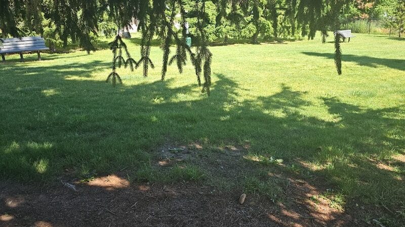Betty’s Dog Park - Jackson, MI
