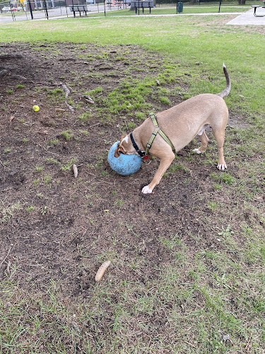 Betty’s Dog Park
