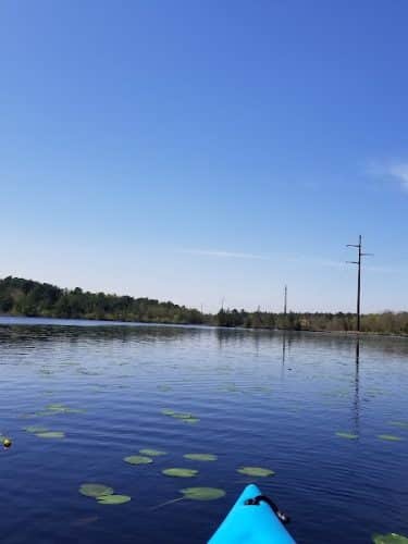 Bunker Hill Bogs Recreation Area
