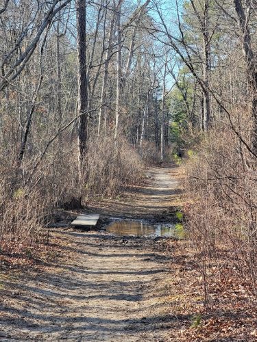 Bunker Hill Bogs Recreation Area