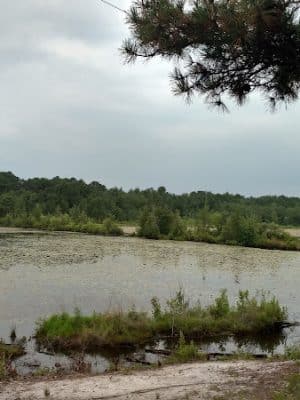 Bunker Hill Bogs Recreation Area