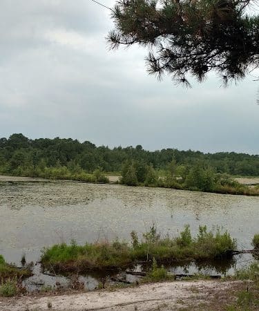 Bunker Hill Bogs Recreation Area