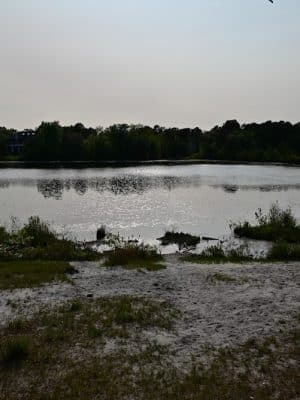 Bunker Hill Bogs Recreation Area