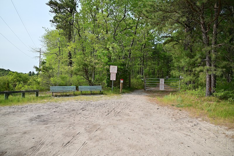 Bunker Hill Bogs Recreation Area - Jackson Township, NJ