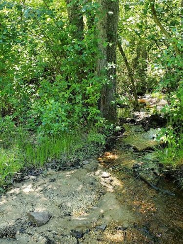 Bunker Hill Bogs Recreation Area